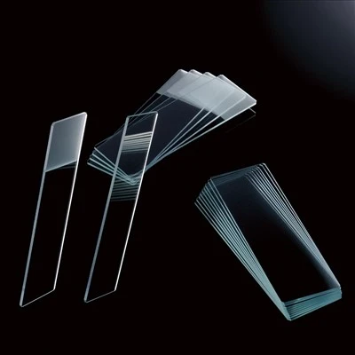 Clear iav Microscope Slides