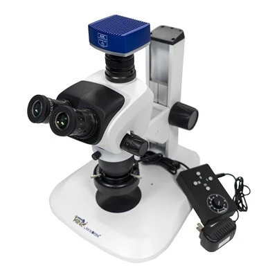 Nrog Ntse Ntsuas Lub Koob Yees Duab Trinocular Microscope