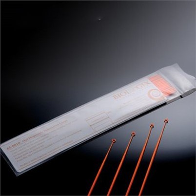 Inoculating Needles Tshem Tawm Ntawm Ib-Colony Specimens